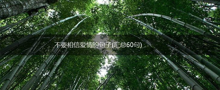 不要相信爱情的句子(汇总60句),第1张