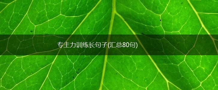 专主力训练长句子(汇总80句),第1张