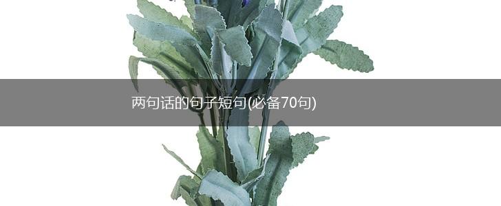 两句话的句子短句(必备70句),第1张