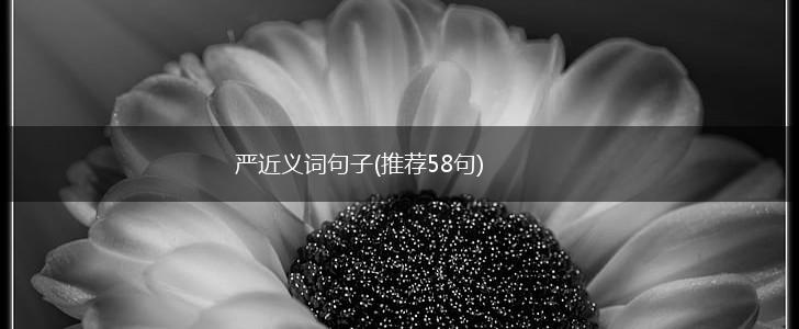 严近义词句子(推荐58句),第1张