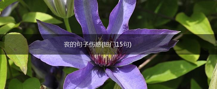 丧的句子伤感(热门15句),第1张
