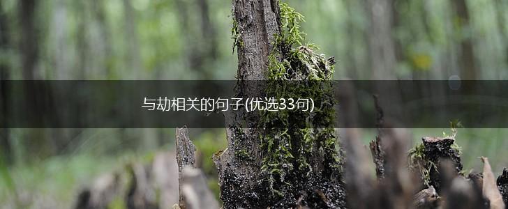 与劫相关的句子(优选33句),第1张