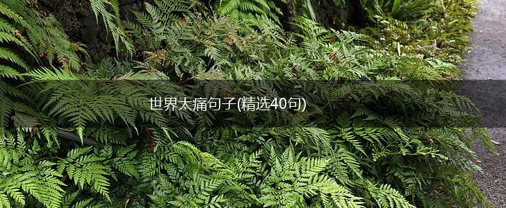 世界太痛句子(精选40句),第1张