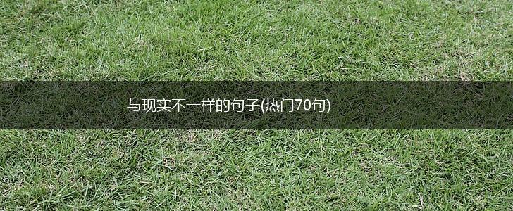 与现实不一样的句子(热门70句),第1张