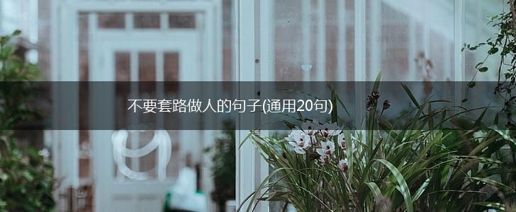 不要套路做人的句子(通用20句),第1张