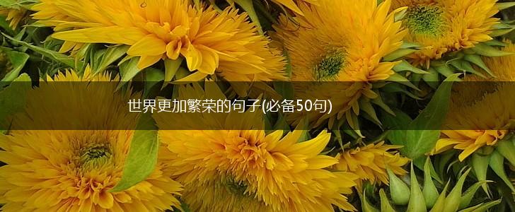 世界更加繁荣的句子(必备50句),第1张