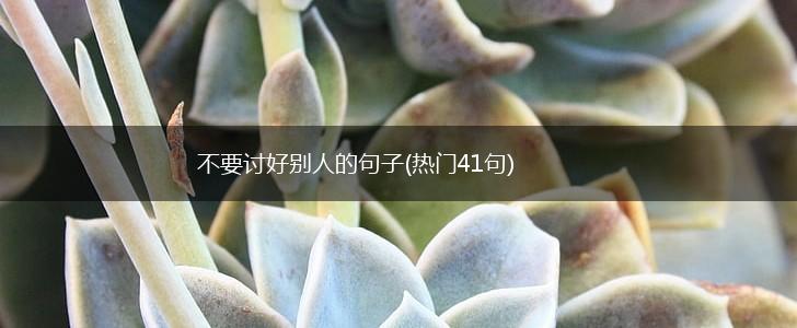 不要讨好别人的句子(热门41句),第1张