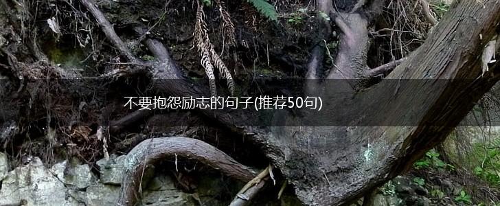 不要抱怨励志的句子(推荐50句),第1张
