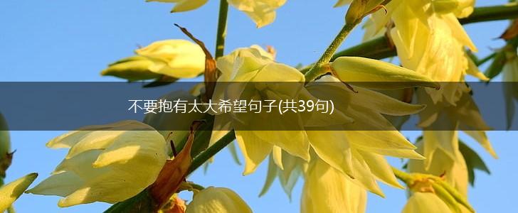 不要抱有太大希望句子(共39句),第1张