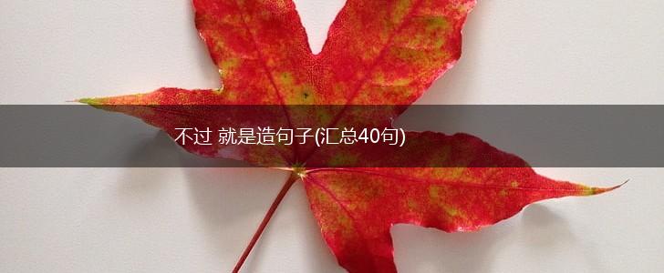 不过 就是造句子(汇总40句),第1张