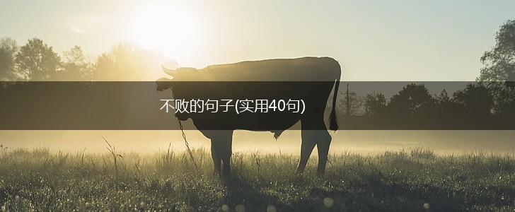 不败的句子(实用40句),第1张