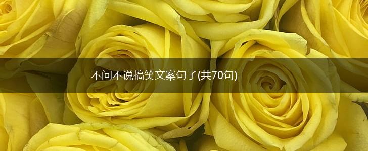 不问不说搞笑文案句子(共70句),第1张