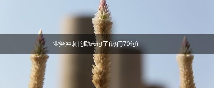 业务冲刺的励志句子(热门70句),第1张
