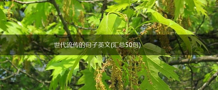 世代流传的句子英文(汇总50句),第1张