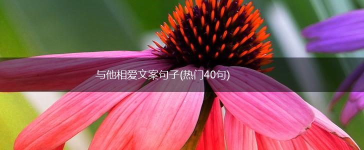 与他相爱文案句子(热门40句),第1张