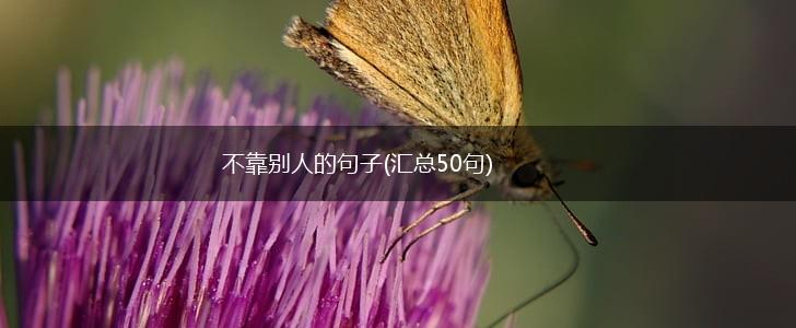 不靠别人的句子(汇总50句),第1张