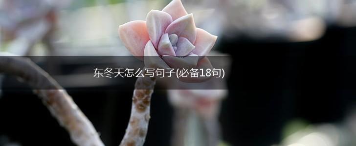 东冬天怎么写句子(必备18句),第1张