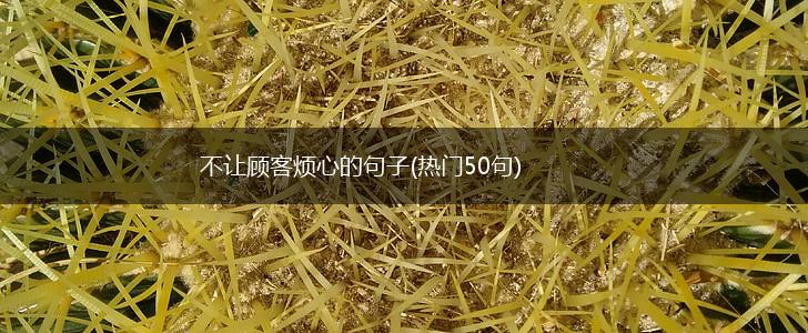 不让顾客烦心的句子(热门50句),第1张