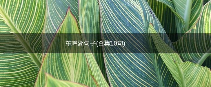 东鸣湖句子(合集10句),第1张