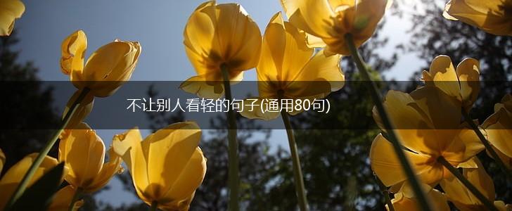 不让别人看轻的句子(通用80句),第1张