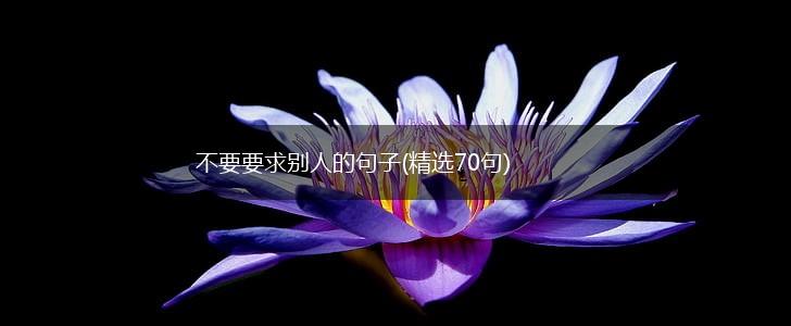 不要要求别人的句子(精选70句),第1张