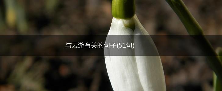 与云游有关的句子(51句),第1张