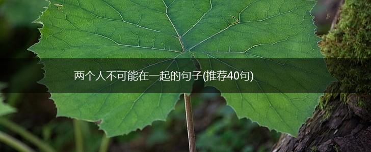 两个人不可能在一起的句子(推荐40句),第1张