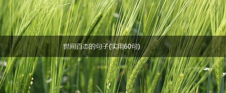 世间百态的句子(实用60句),第1张