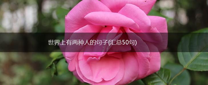 世界上有两种人的句子(汇总50句),第1张