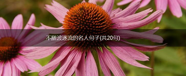 不随波逐流的名人句子(共20句),第1张