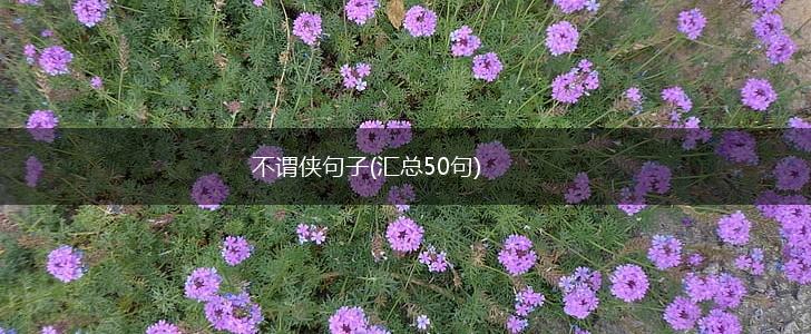 不谓侠句子(汇总50句),第1张