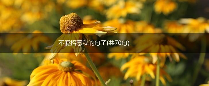不要招惹我的句子(共70句),第1张