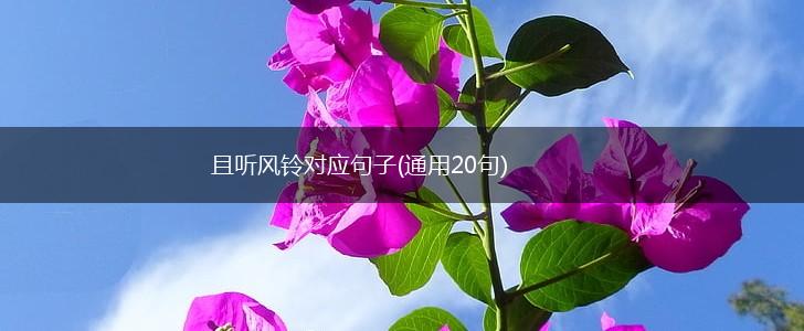 且听风铃对应句子(通用20句),第1张