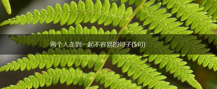 两个人走到一起不容易的句子(5句),第1张