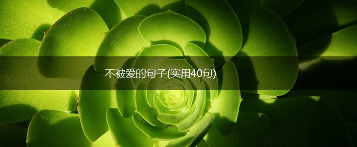 不被爱的句子(实用40句),第1张