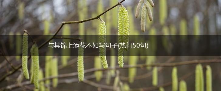与其锦上添花不如写句子(热门50句),第1张