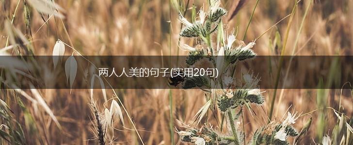 两人人美的句子(实用20句),第1张