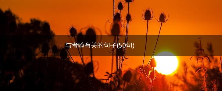 与考验有关的句子(50句),第1张