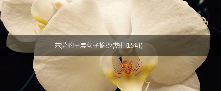 东莞的早晨句子摘抄(热门15句),第1张