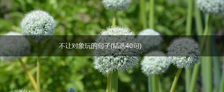 不让对象玩的句子(精选40句),第1张