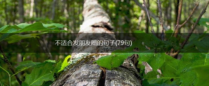 不适合发朋友圈的句子(79句),第1张