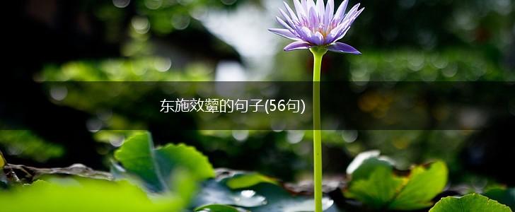 东施效颦的句子(56句),第1张