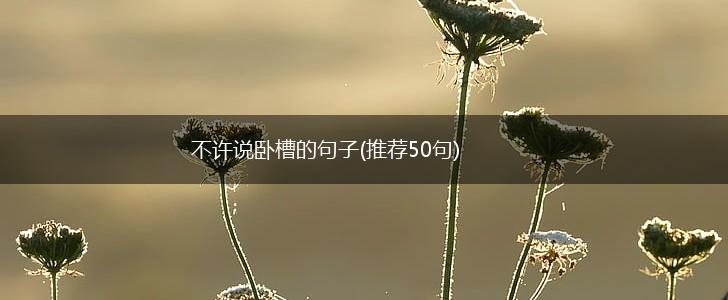 不许说卧槽的句子(推荐50句),第1张