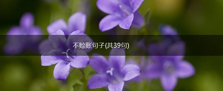 不赊账句子(共39句),第1张