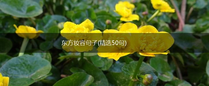 东方妆容句子(精选50句),第1张