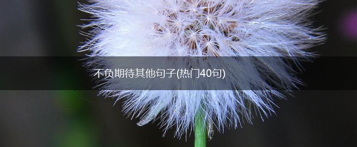 不负期待其他句子(热门40句),第1张