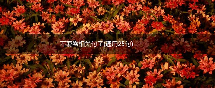 不要卷相关句子(通用25句),第1张