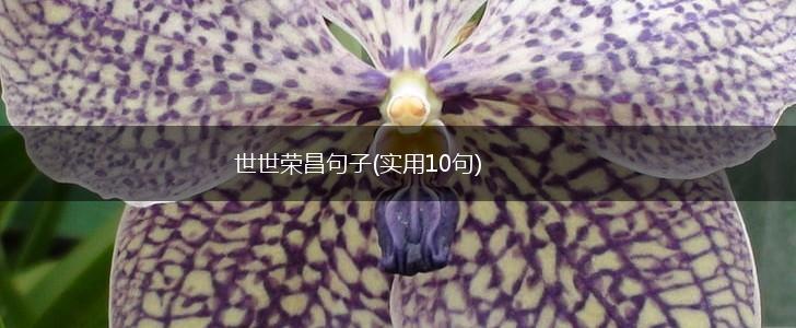 世世荣昌句子(实用10句),第1张