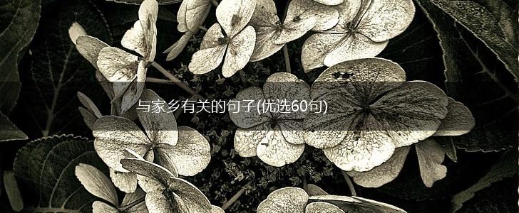 与家乡有关的句子(优选60句),第1张