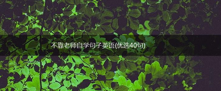 不靠老师自学句子英语(优选40句),第1张